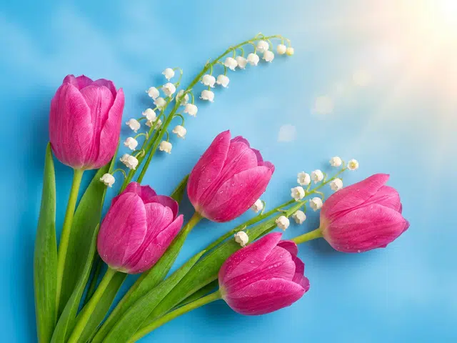 Special offer image